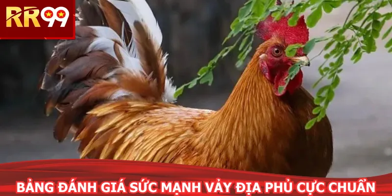 Bảng đánh giá sức mạnh vảy địa phủ cực chuẩn