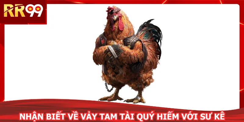 Nhận biết về vảy tam tài quý hiếm với sư kê