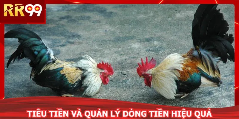 Tiêu tiền và quản lý dòng tiền hiệu quả